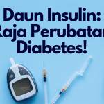 Daun Insulin: Raja Perubatan Semua Penyakit!