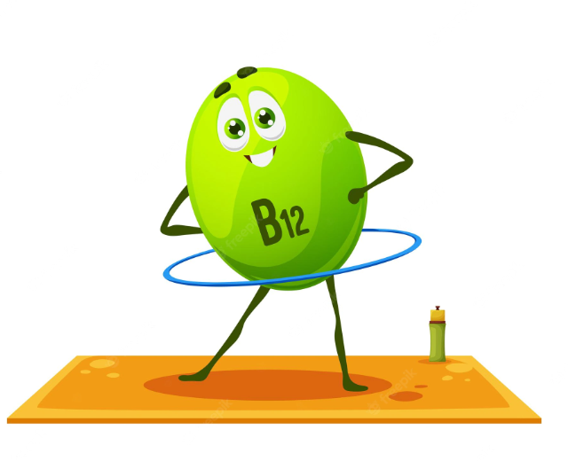 vitamin b12 menghasilkan sel darah merah terbaik!