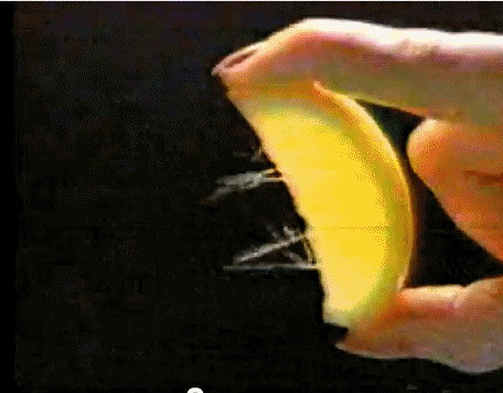 Adakah benar bahawa lemon boleh menjadi salah satu ubat tahan muntah yang paling biasa digunakan?