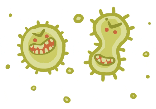 Helicobacter pylori adalah sejenis bakteria yang boleh membawa kepada penyakit