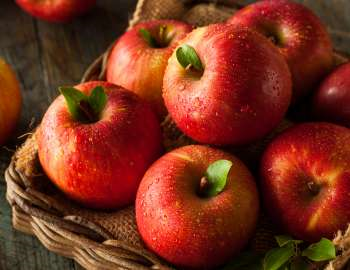 Epal – buah yang sering dianggap biasa tetapi sesungguhnya luar biasa! 